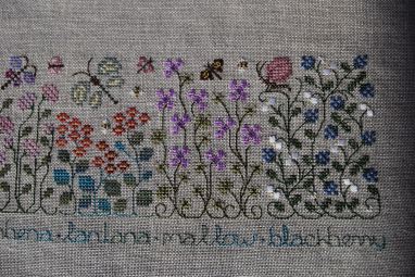 The Butterfly Garden