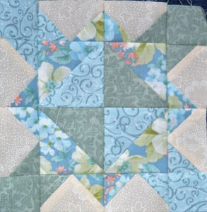 Focal Point. The Splendid Sampler