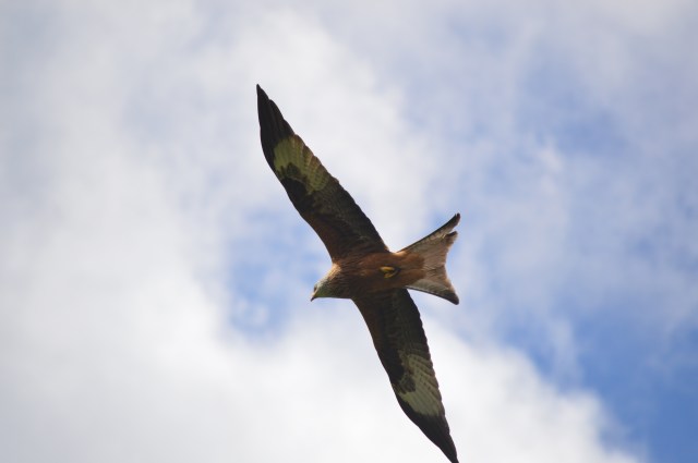 This image has an empty alt attribute; its file name is dsc_0277.jpg