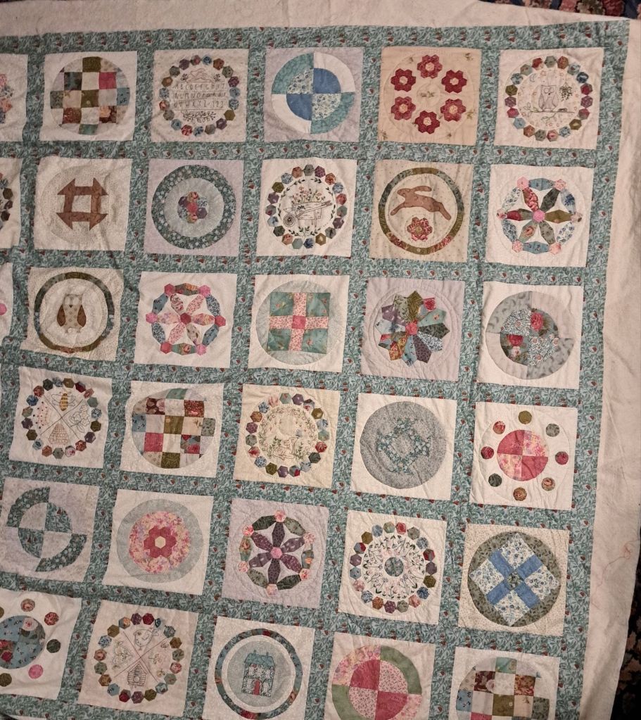 20241110_1847148849174216499526291